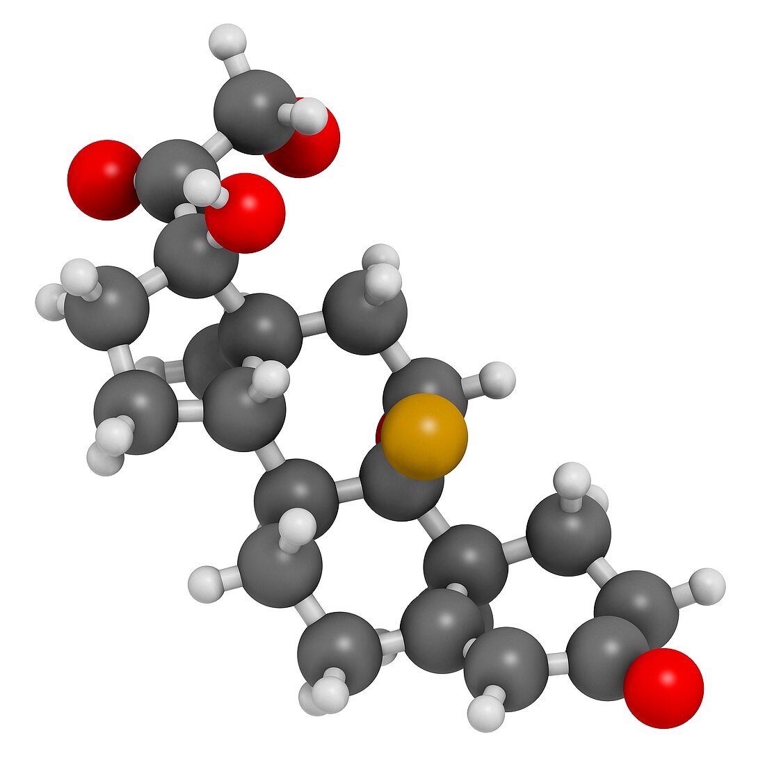 Aldosterone hormone substitution drug