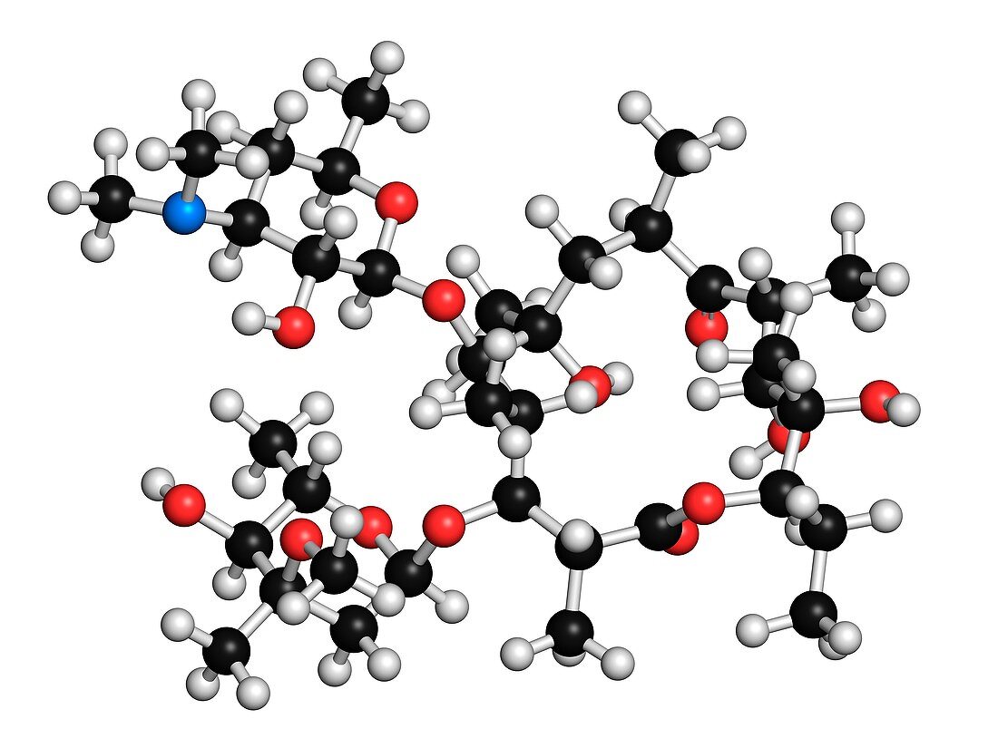 Erythromycin antibiotic molecule