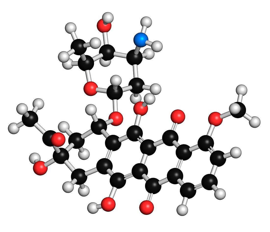 Daunorubicin cancer drug molecule