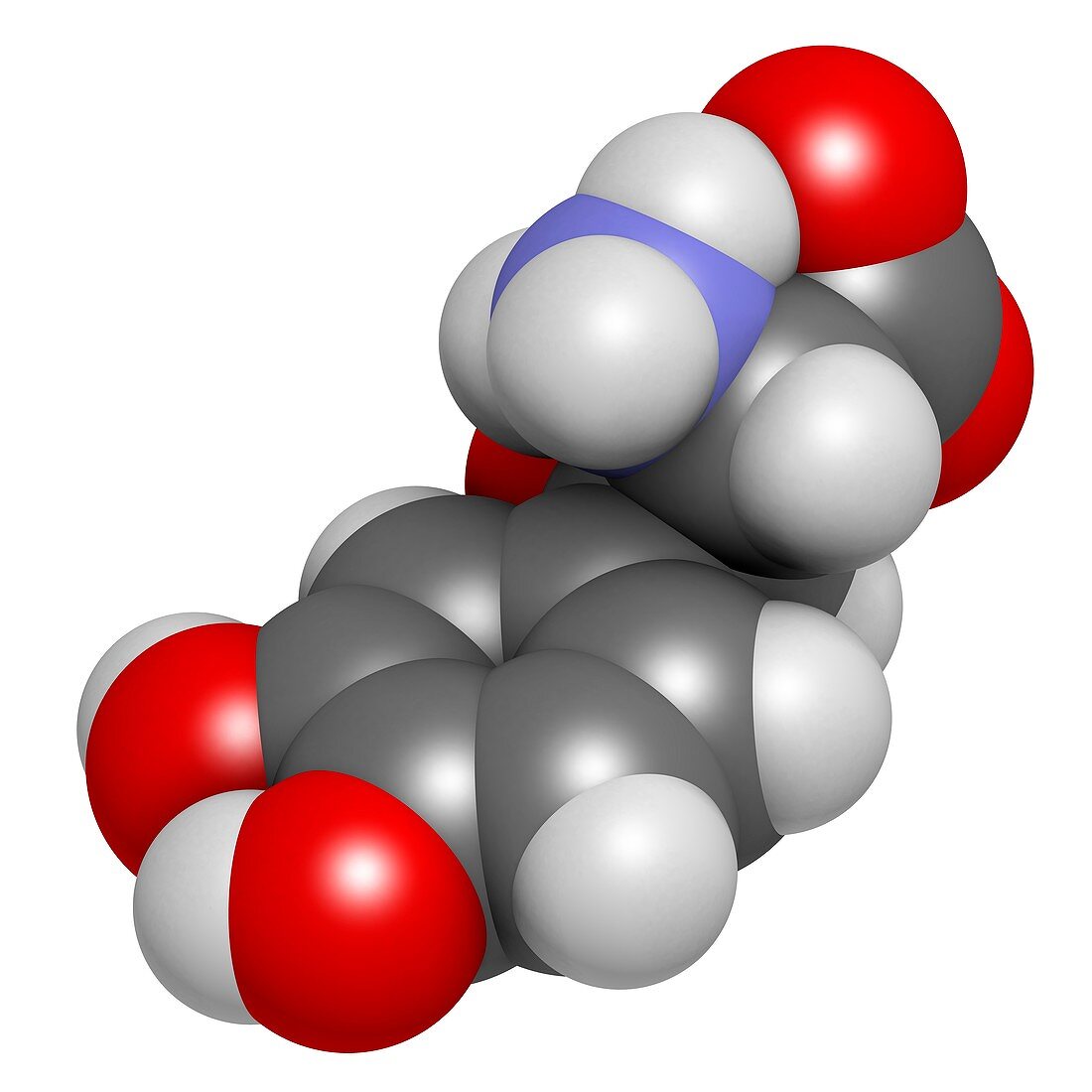 Droxidopa hypotension drug molecule