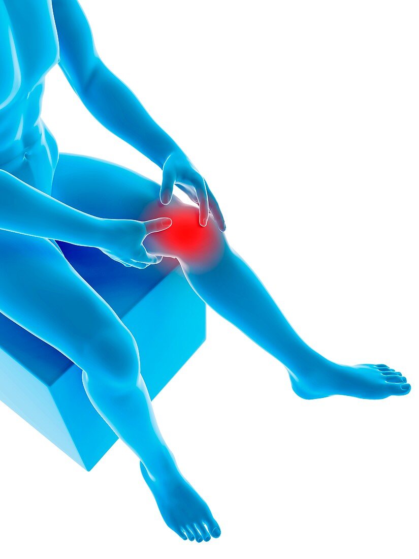 Human knee pain,illustration