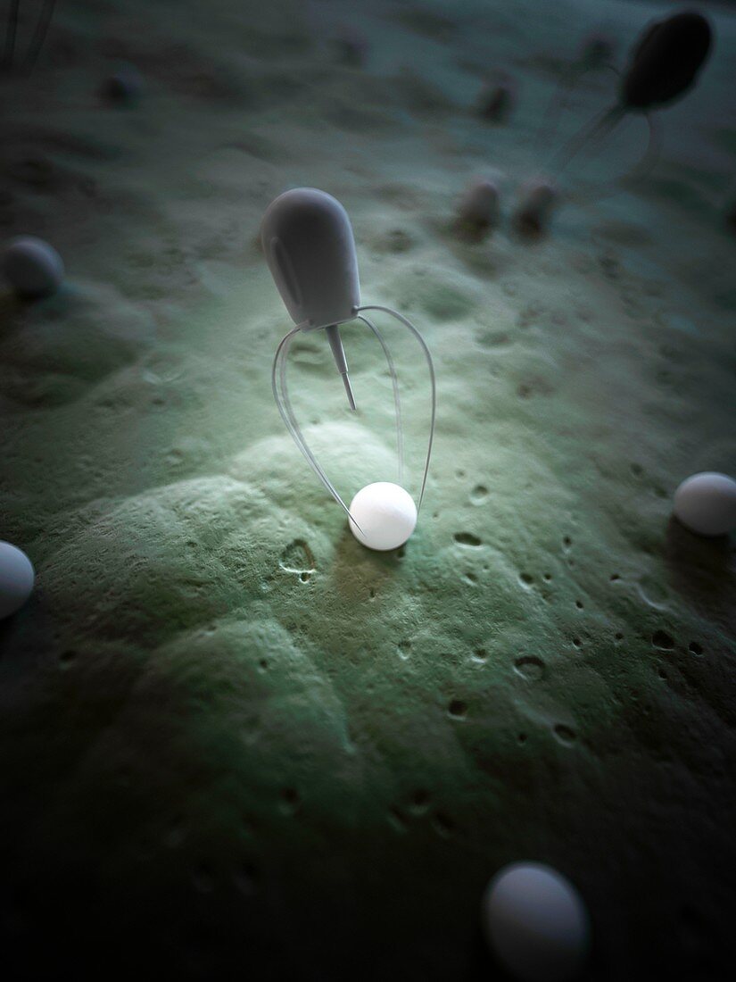 Nanobot,illustration