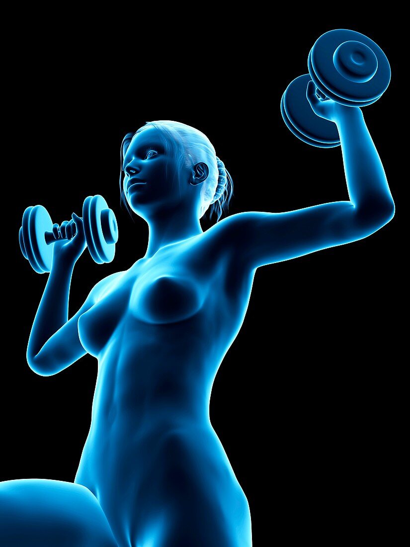 Woman weight training,illustration