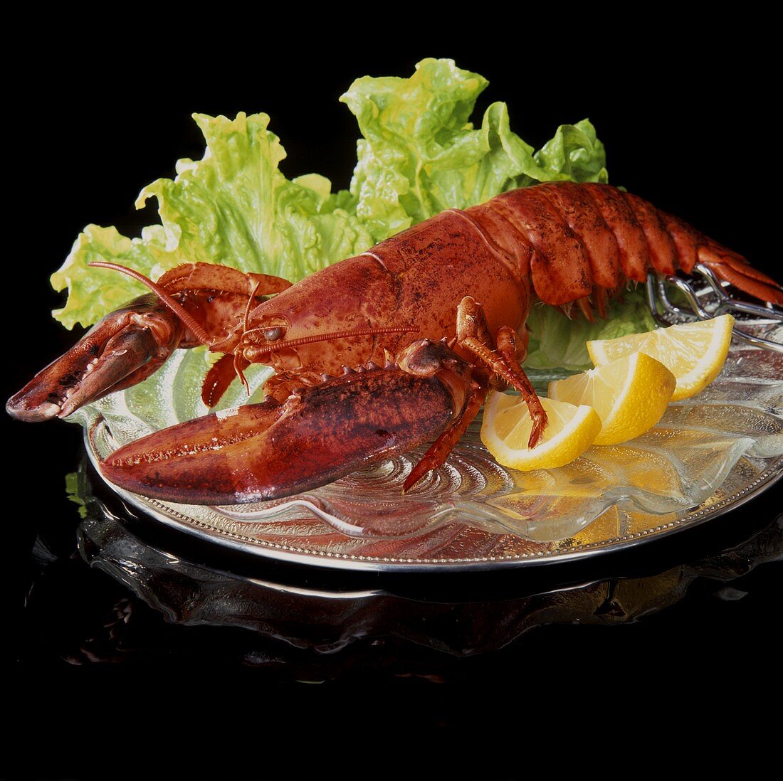 A Garnished Boiled Lobster