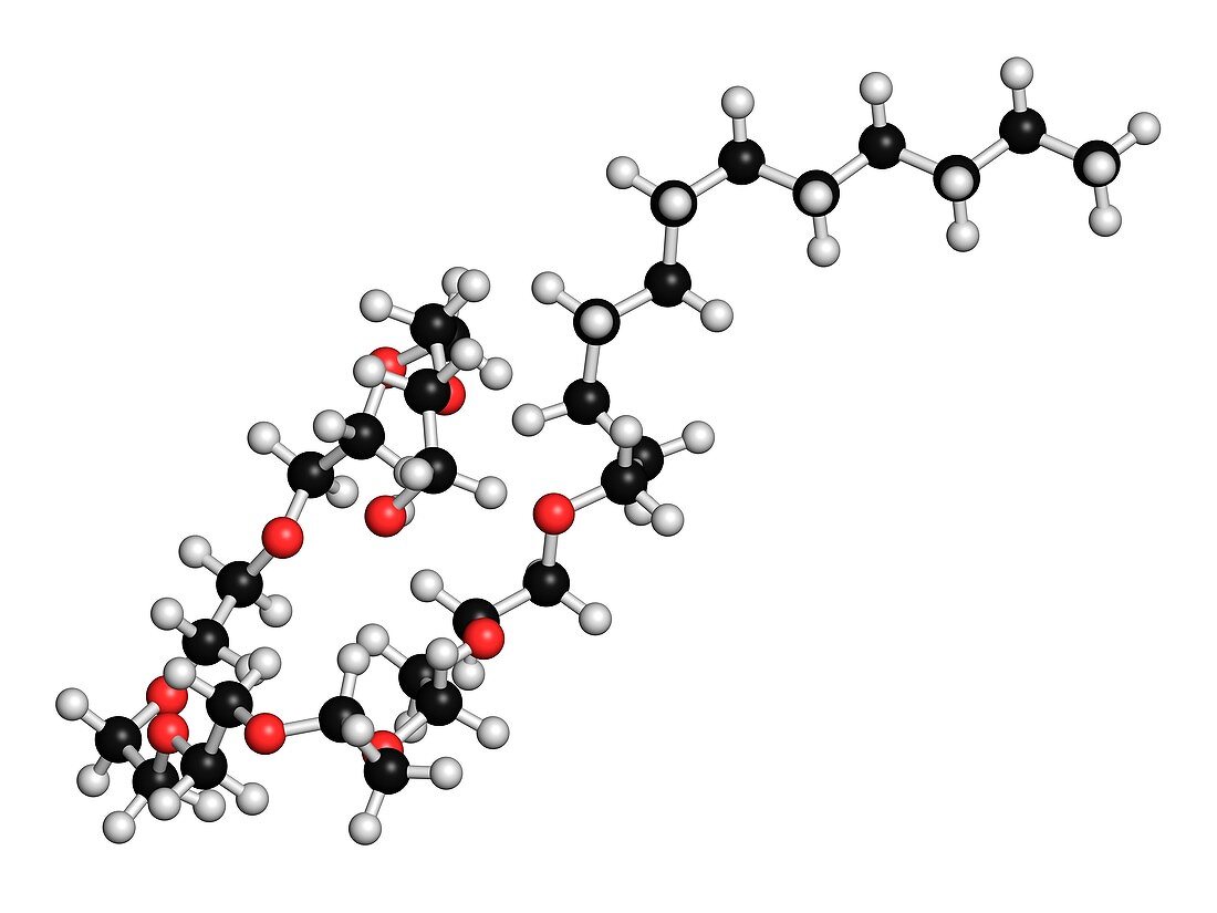 Polidocanol sclerosant drug molecule