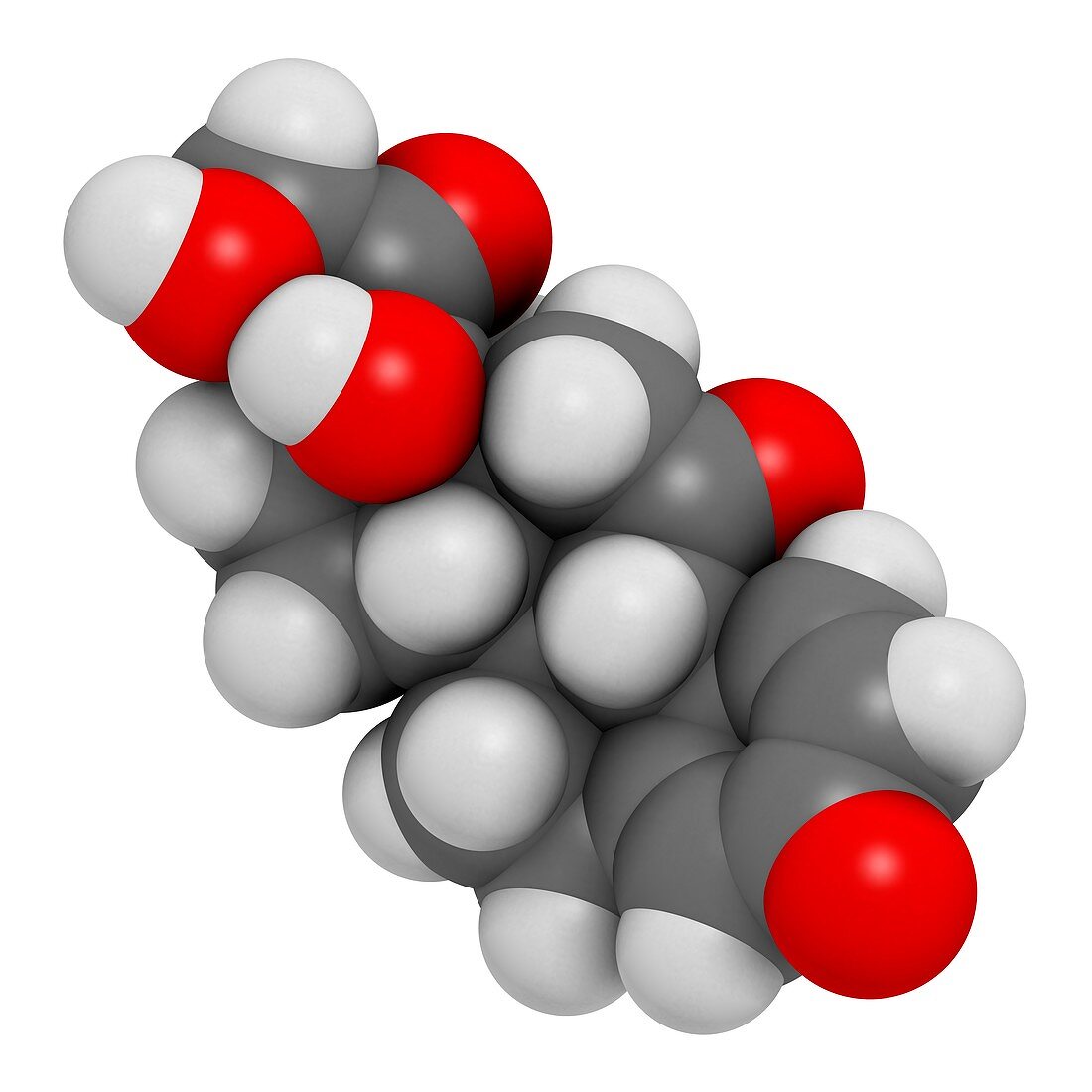 Prednisone corticosteroid drug molecule