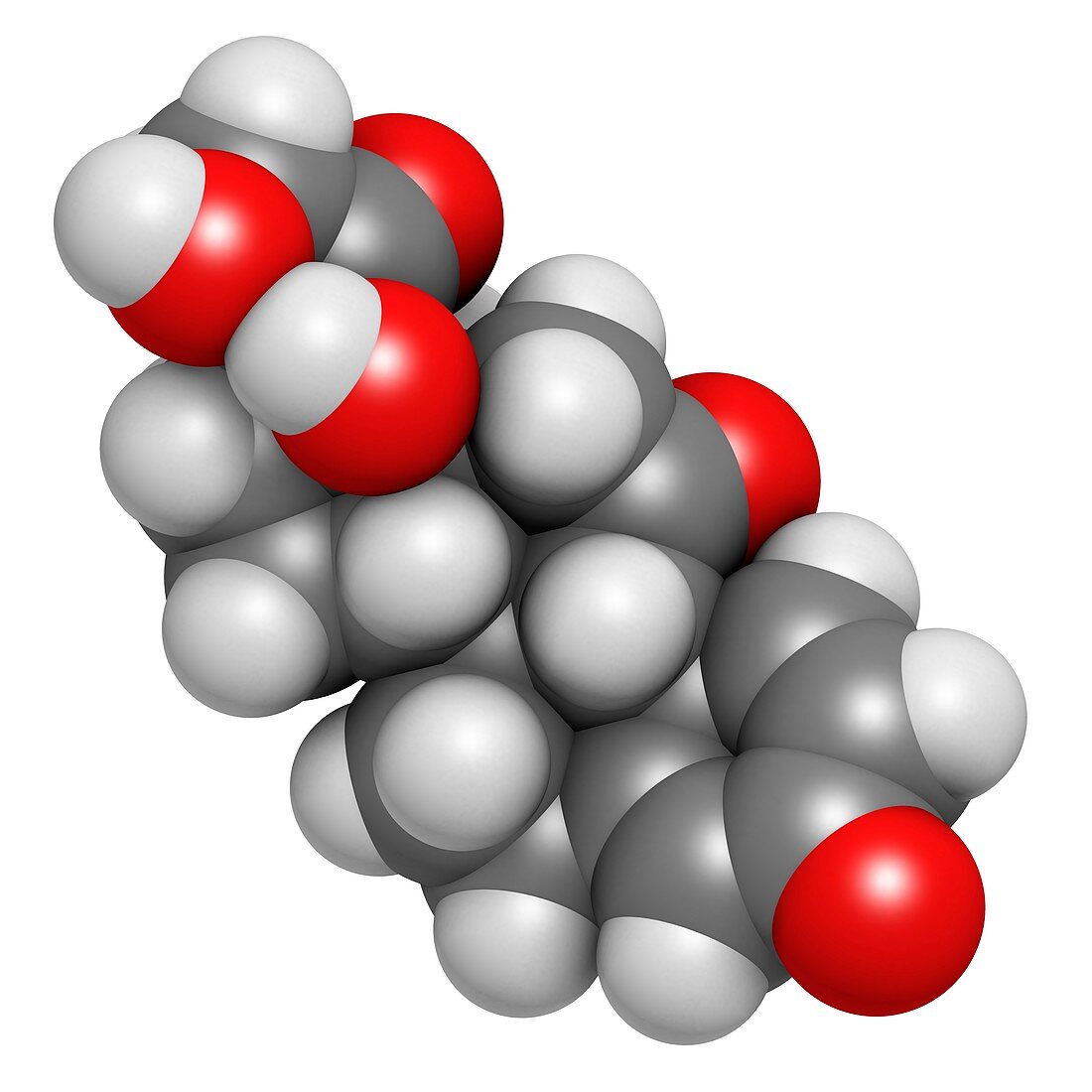 Prednisone corticosteroid drug molecule