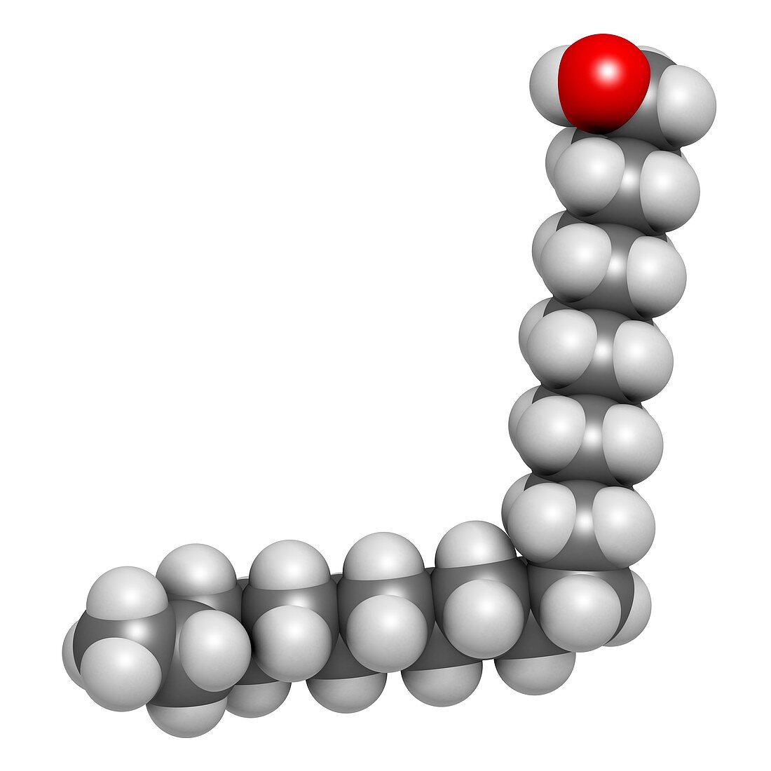 Docosanol antiviral drug molecule