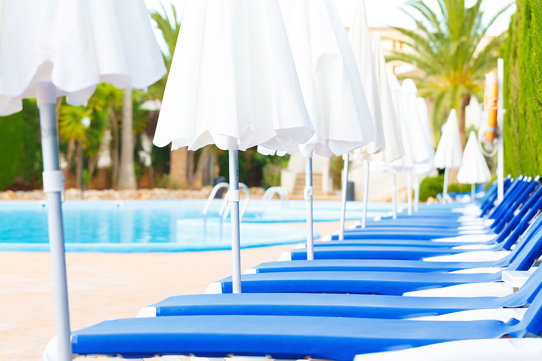 Sunloungers and parasols in a row