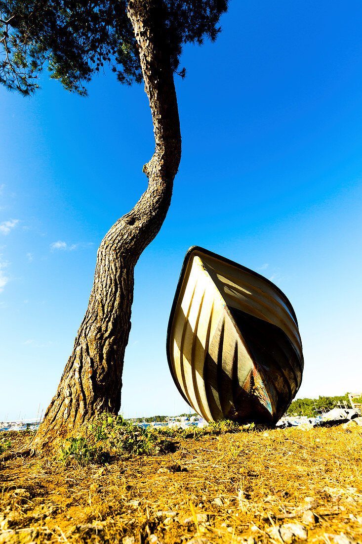 Fishing boat under a tree