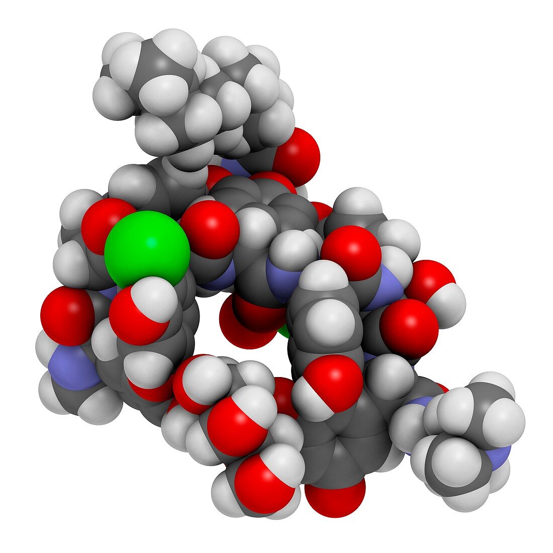 Dalbavancin glycopeptide antibiotic drug