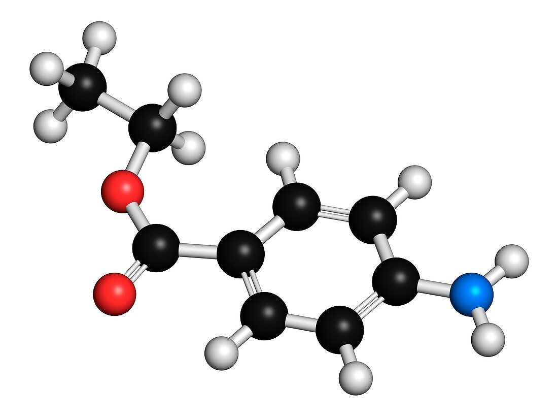 Benzocaine local anesthetic drug molecule