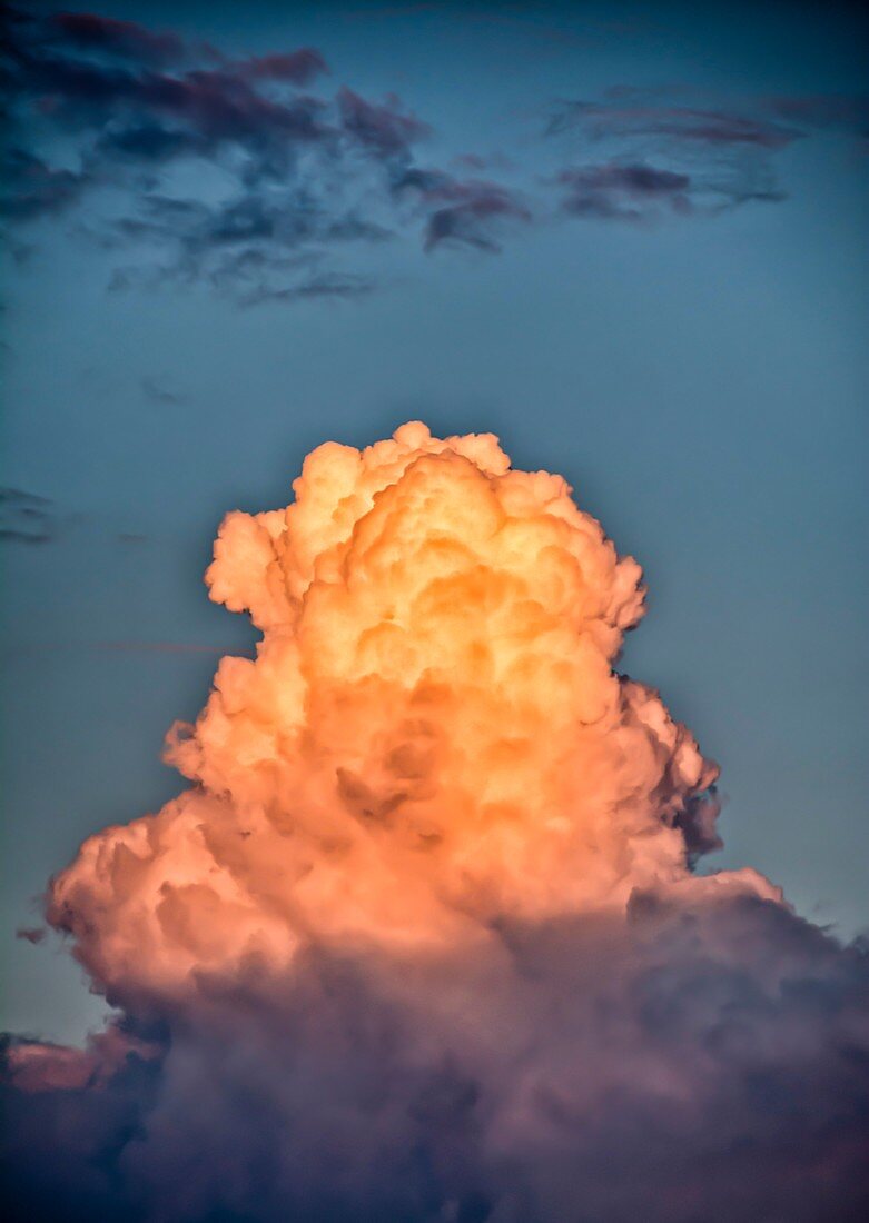 Cumulus mediocris clouds