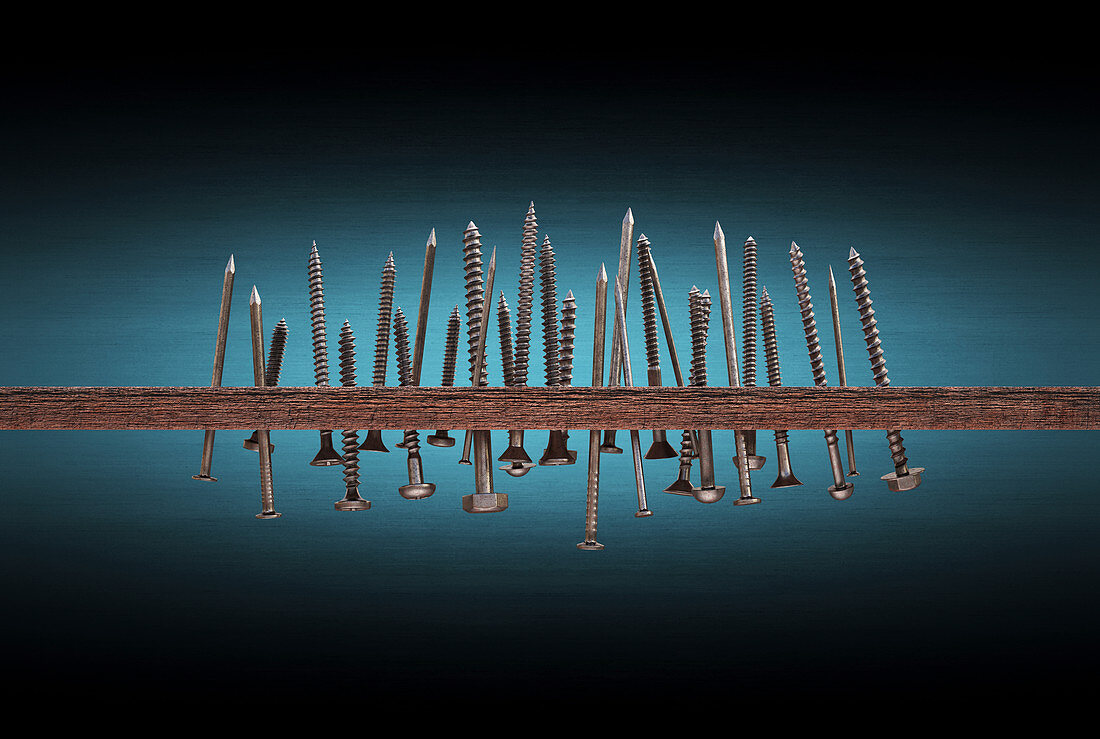 Nails and screws,illustration