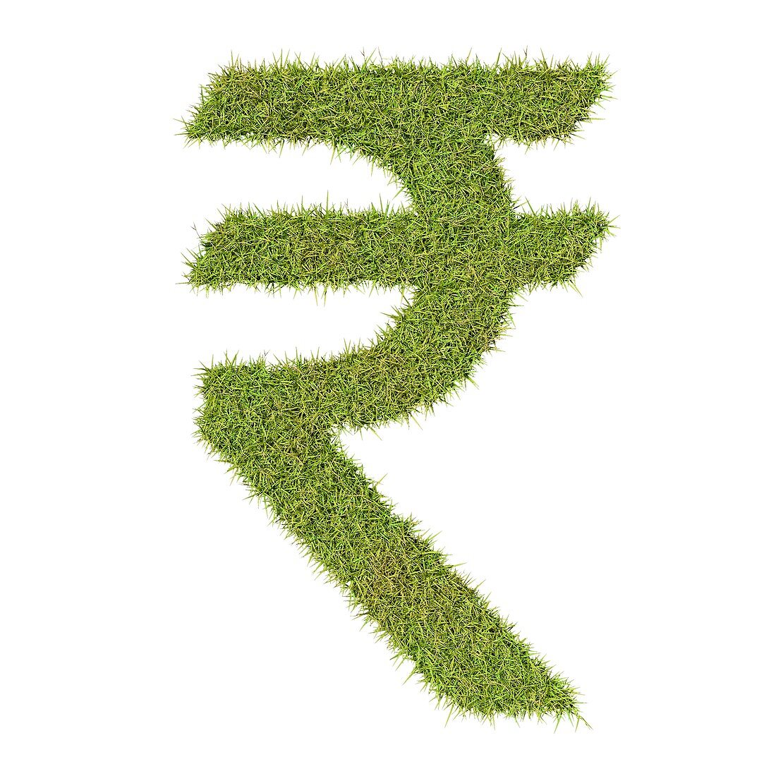 Rupee symbol made from grass