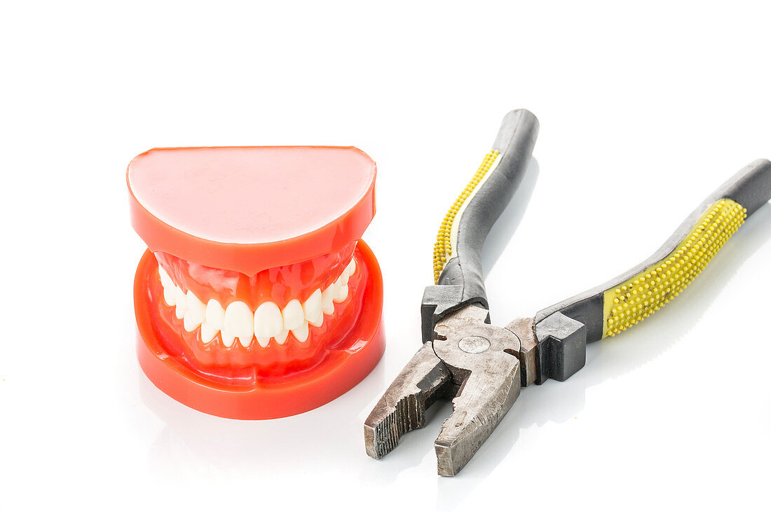 False teeth and a pair of pliers