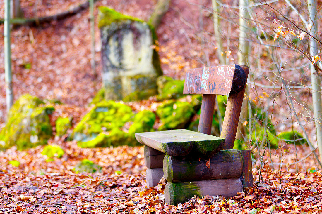 Empty bench and autumn leaves
