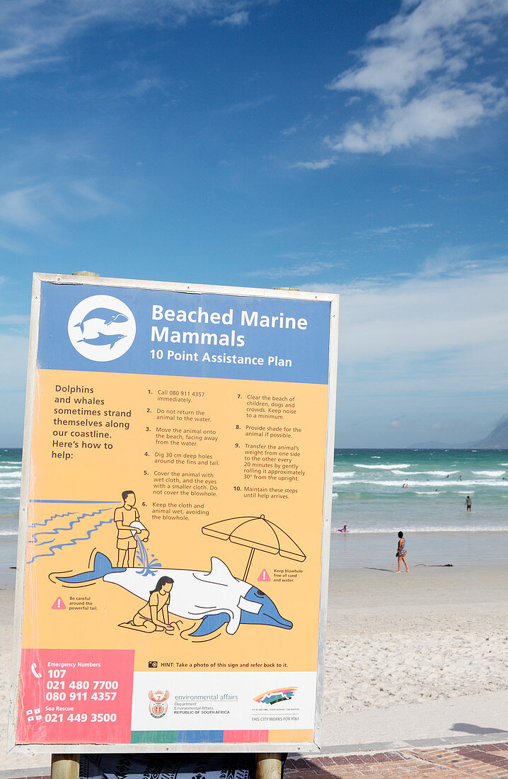 Beached marine animal information sign