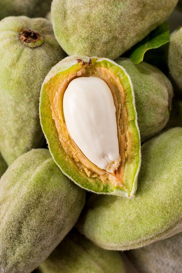 Almond in its shell