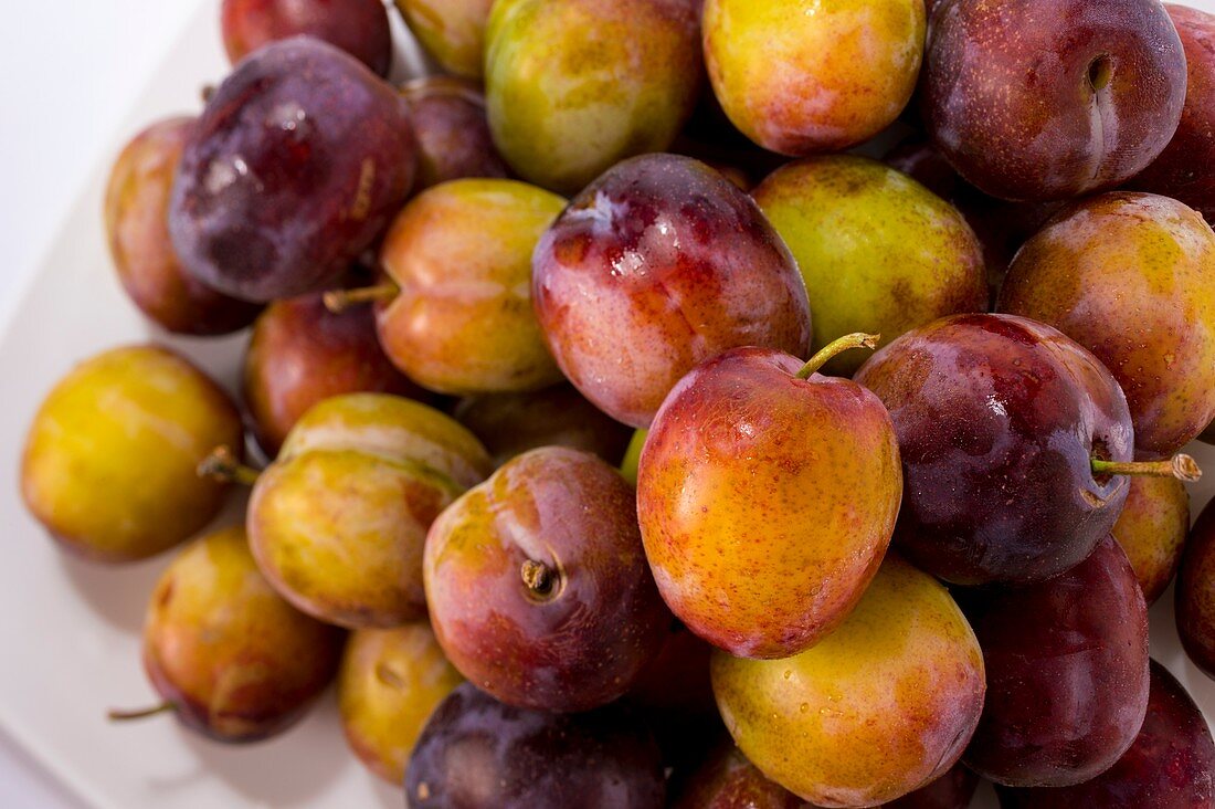 Plums