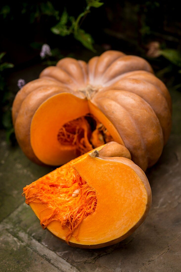 Pumpkin