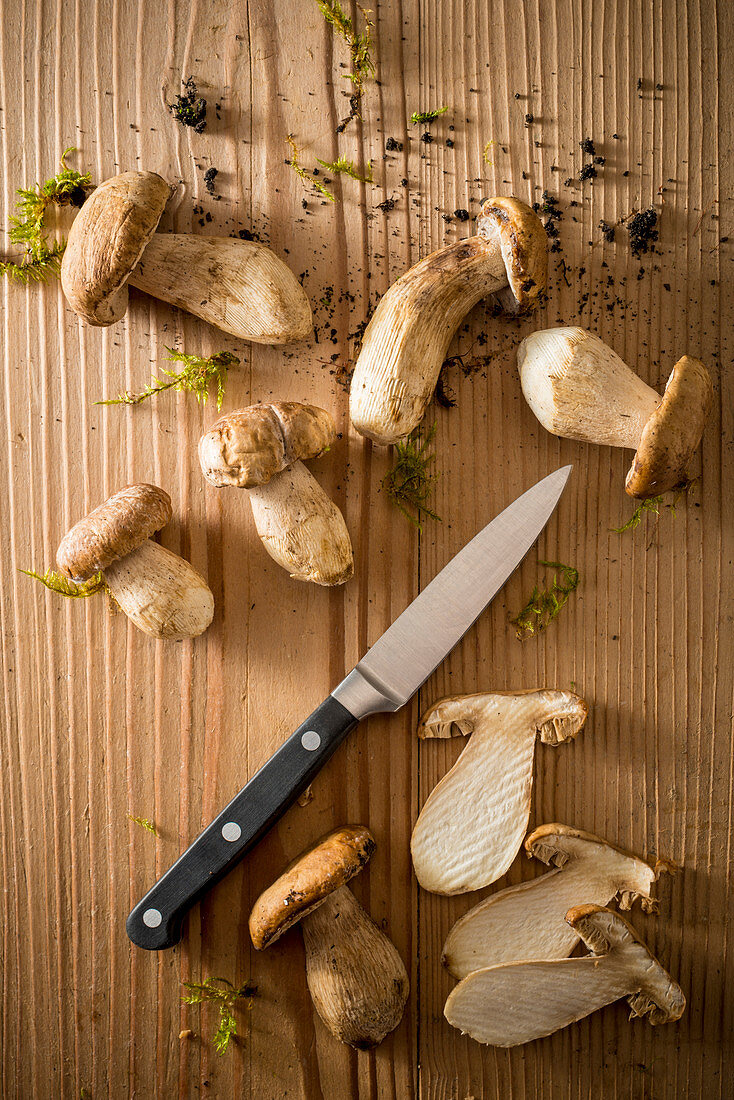 Mushrooms and knife