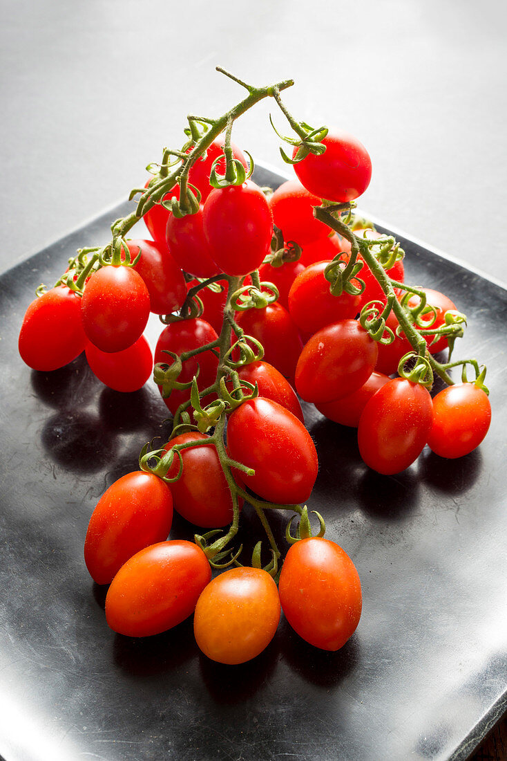 Datterino tomatoes