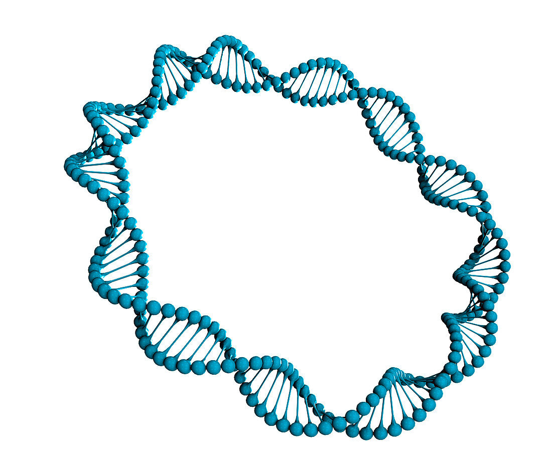 DNA strand molecular model,illustration