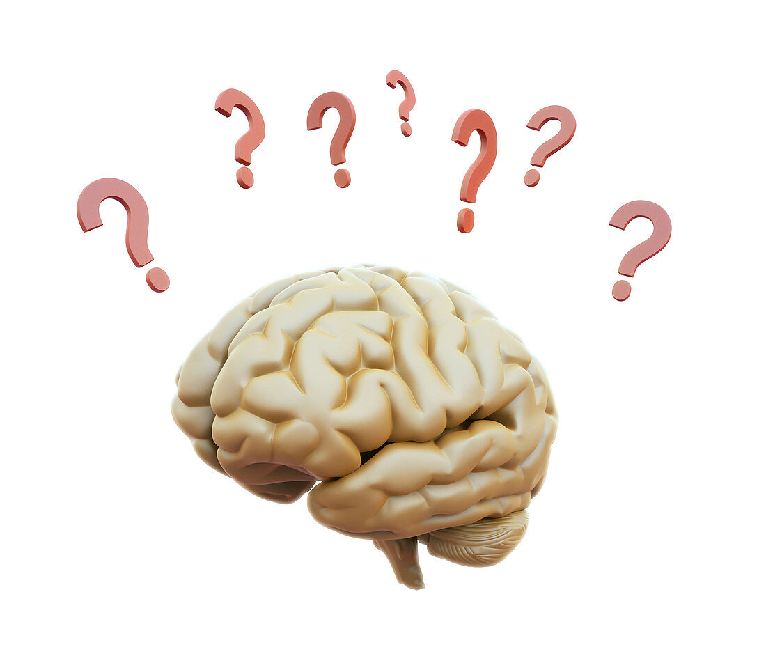 Human brain and question marks