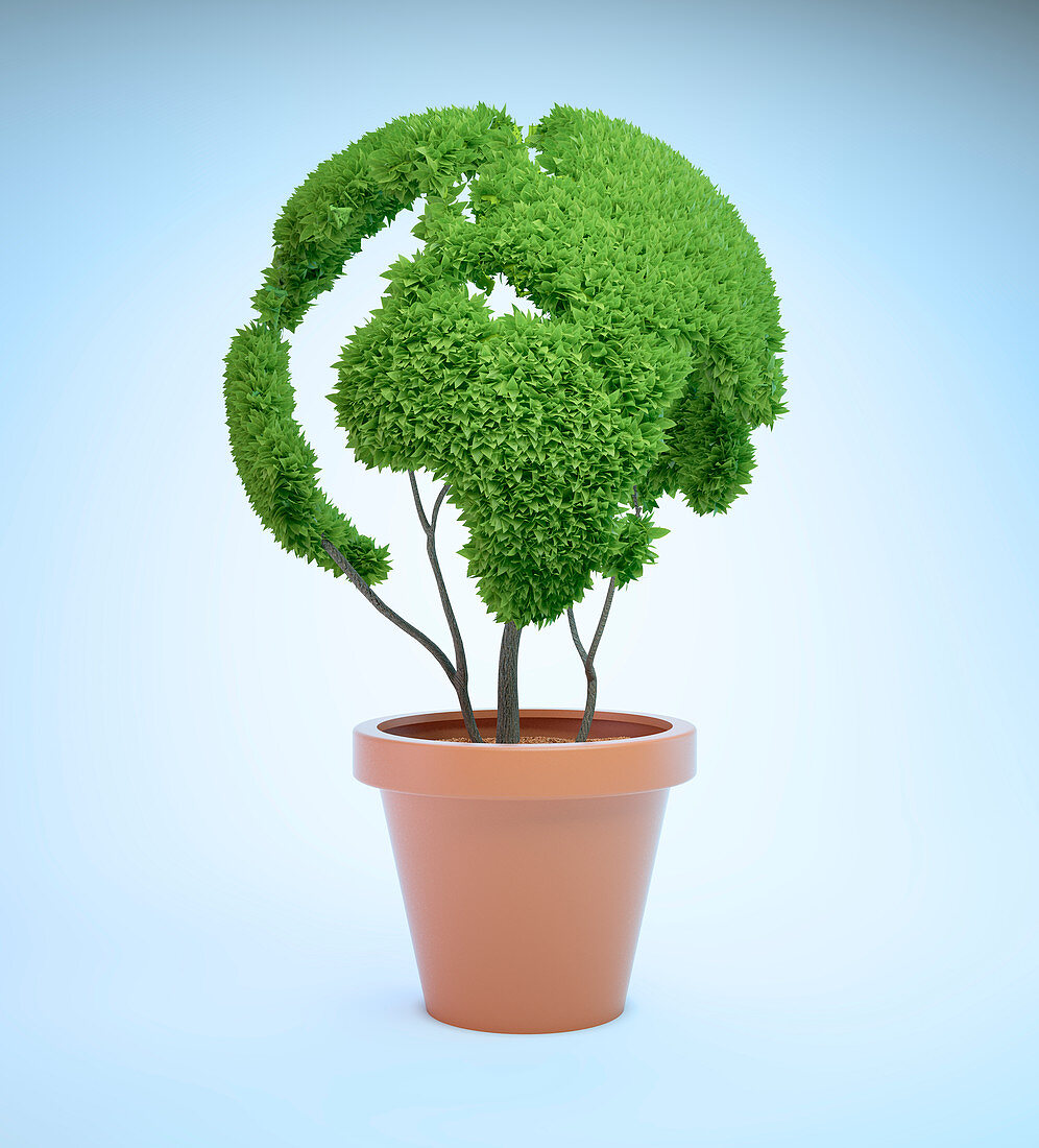 Pot plant in shape of Earth,illustration