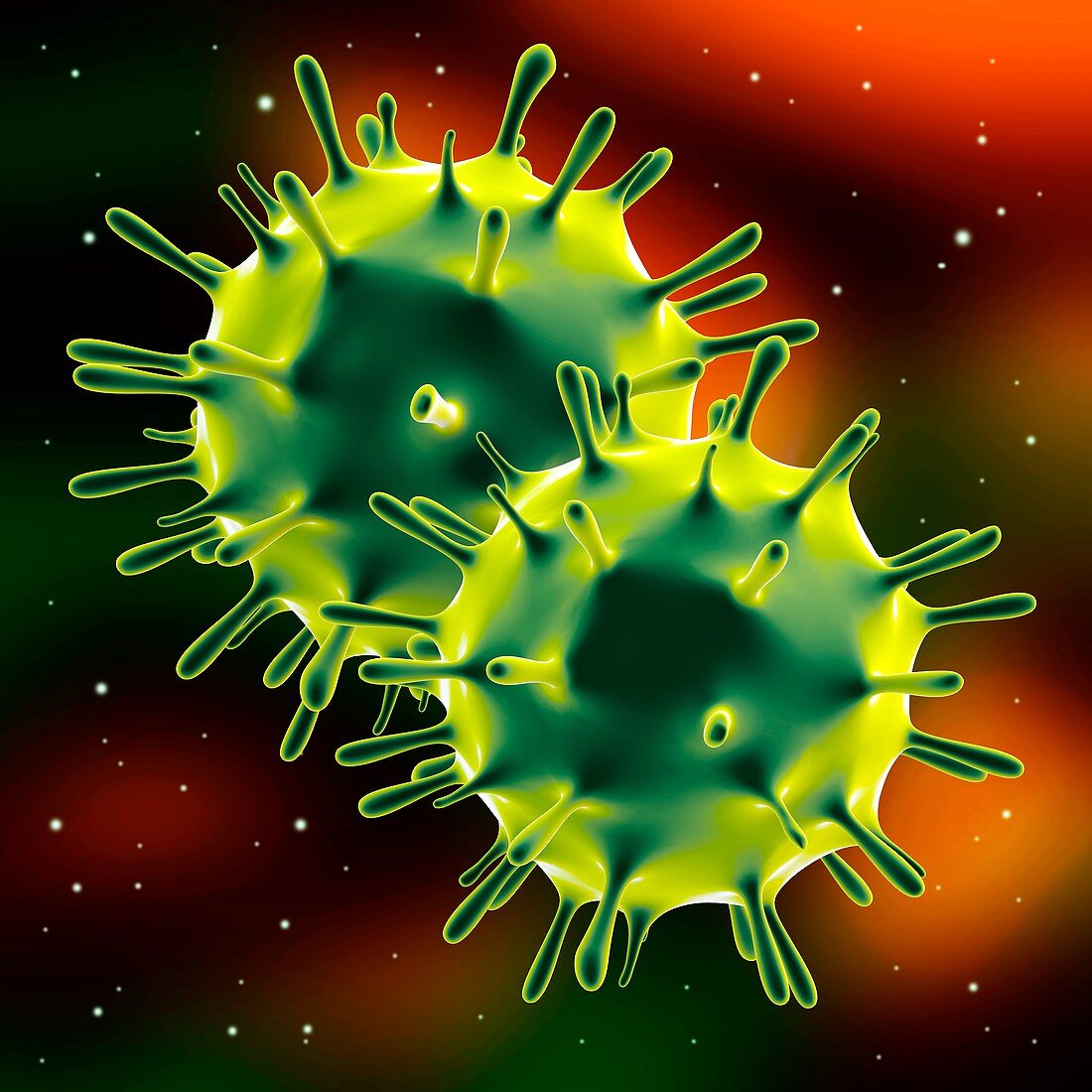 Influenza virus (H1N1),illustration