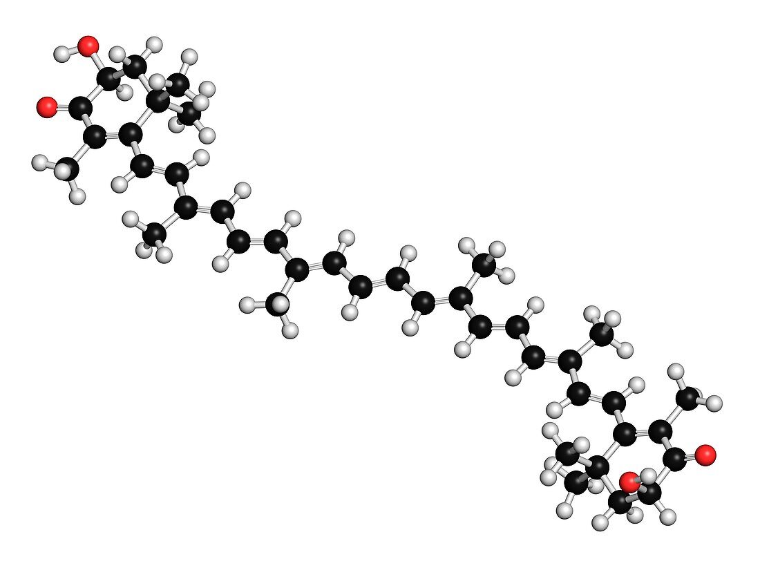 Astaxanthin pigment molecule