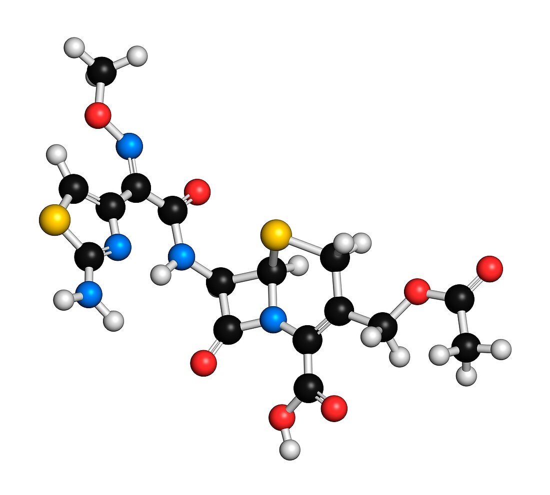 Cefotaxime antibiotic drug molecule