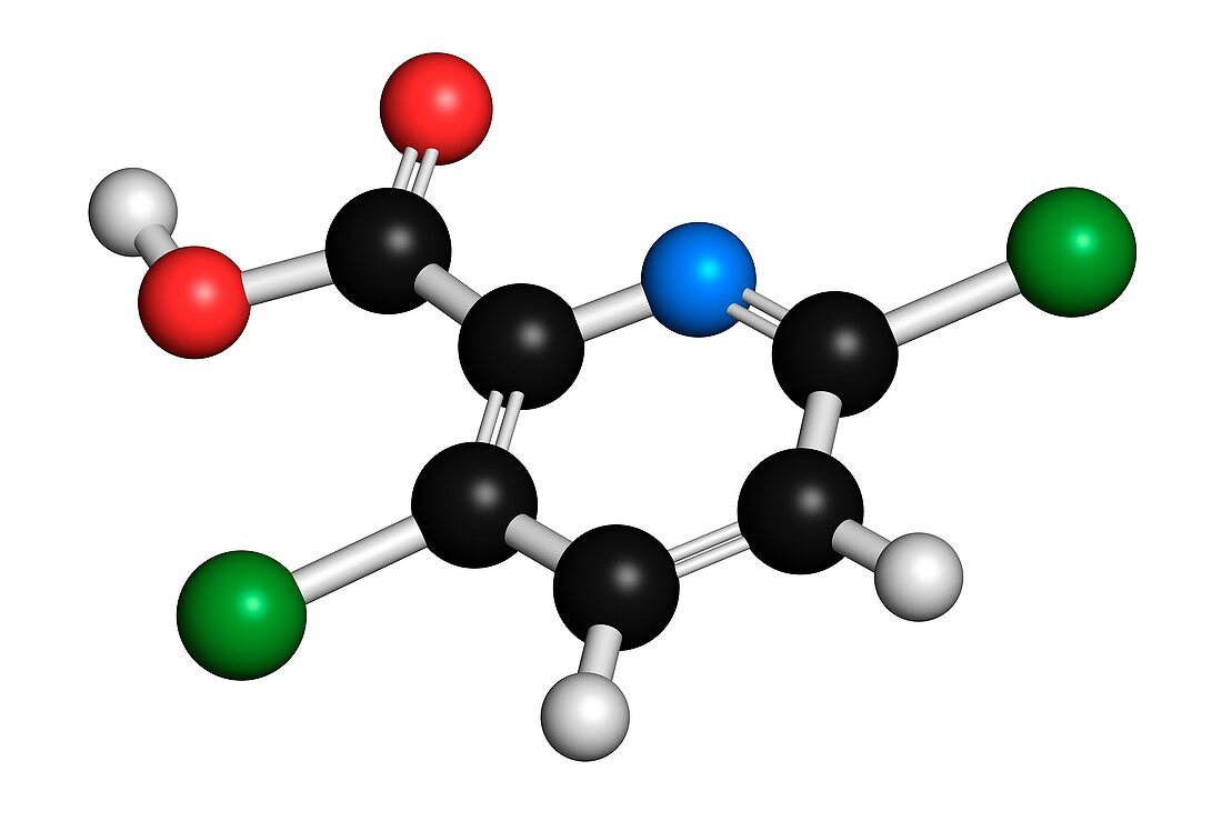 Clopyralid herbicide molecule