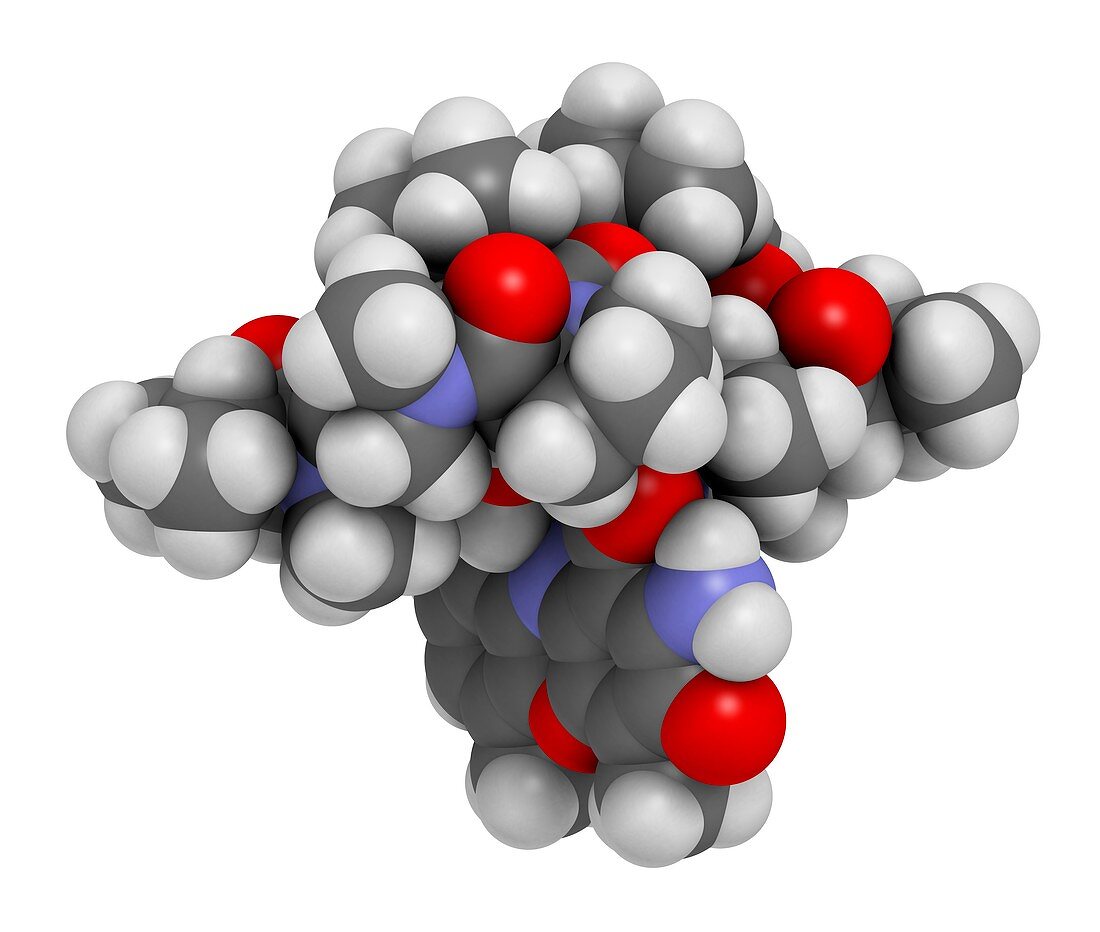 Dactinomycin cancer drug molecule