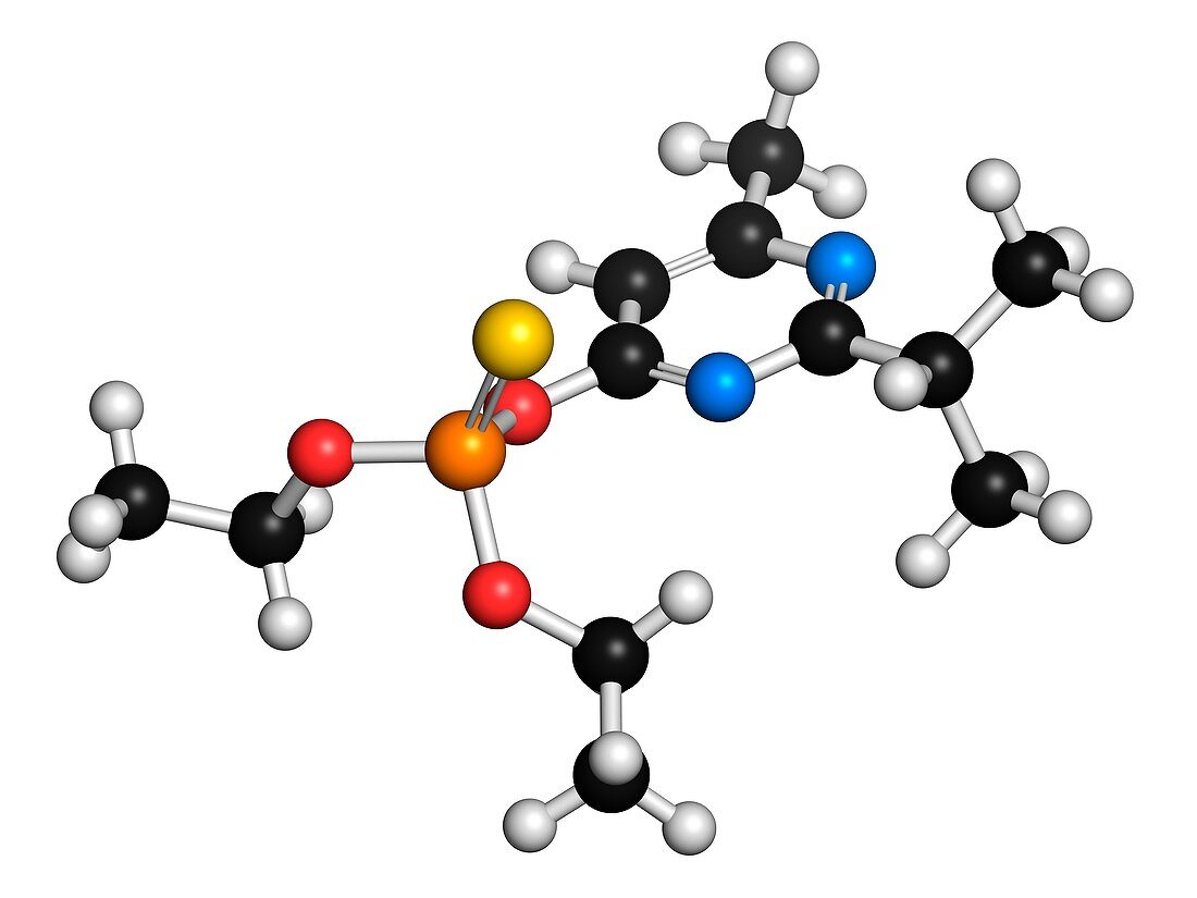 Diazinon organophosphate molecule