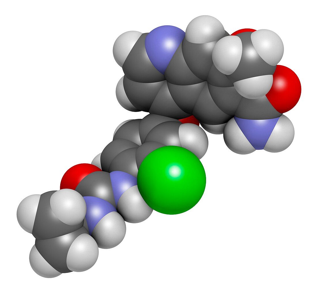 Lenvatinib cancer drug molecule