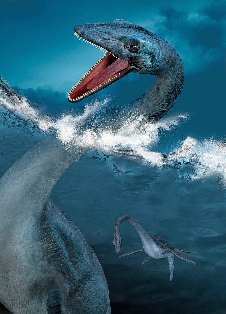 Prehistoric sea creatures,illustration