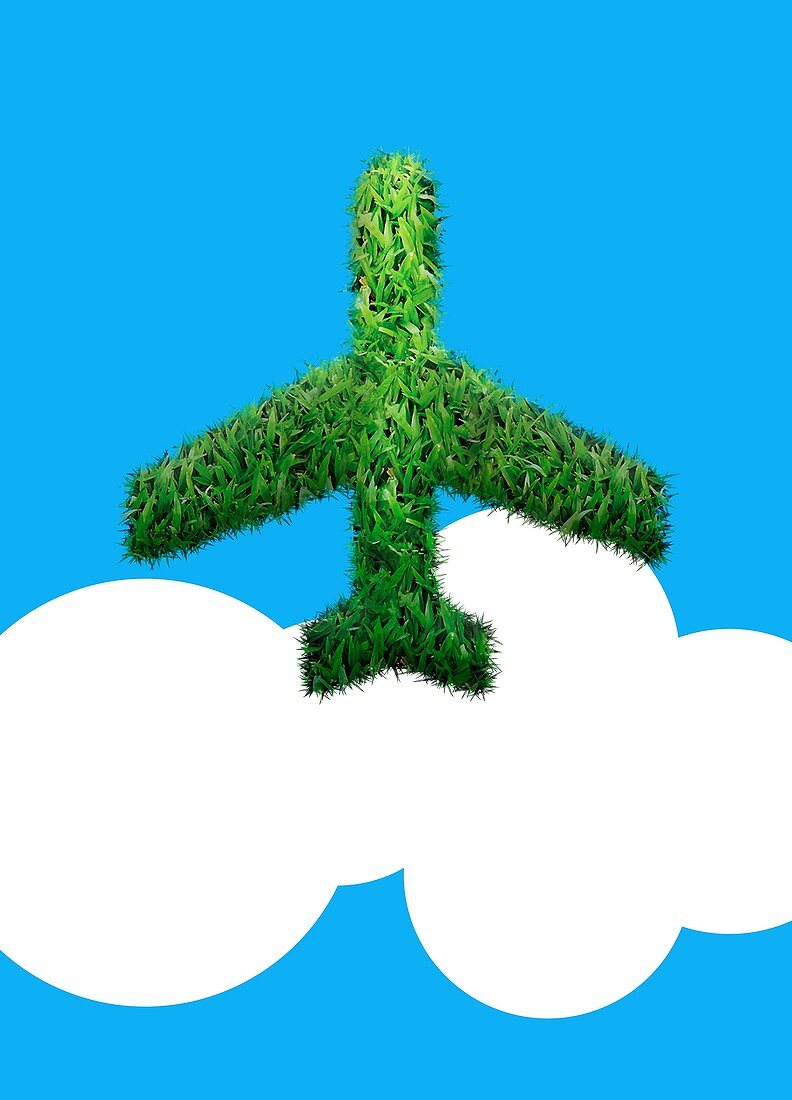 Aeroplane made from grass,illustration