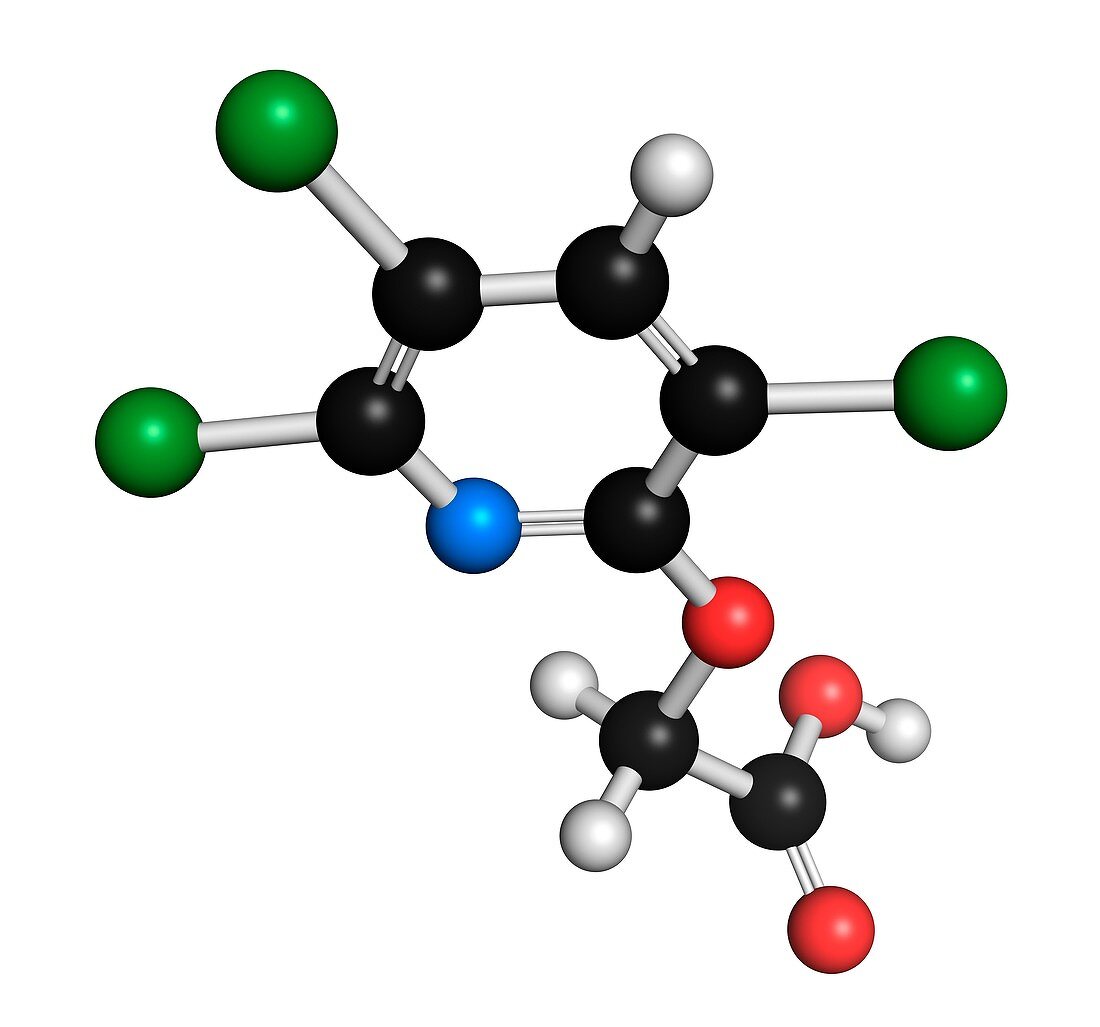 Triclopyr herbicide molecule