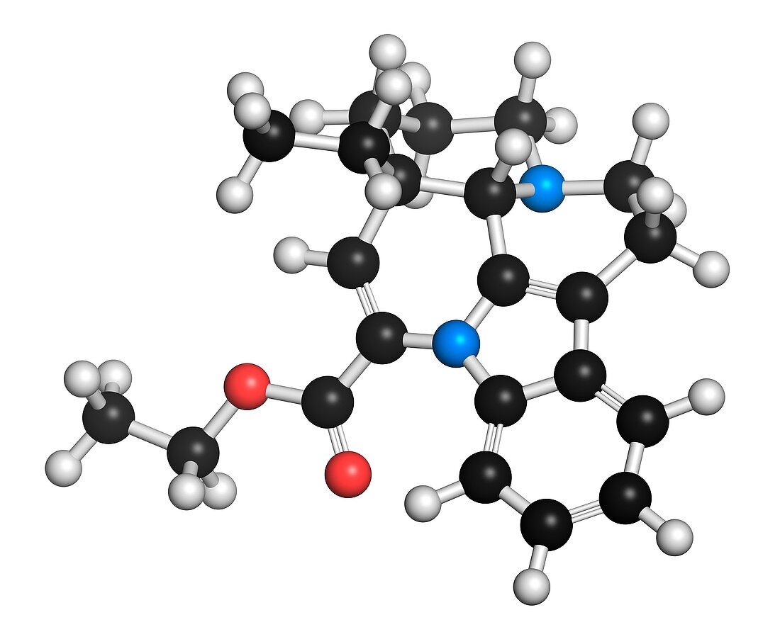 Vinpocetine molecule