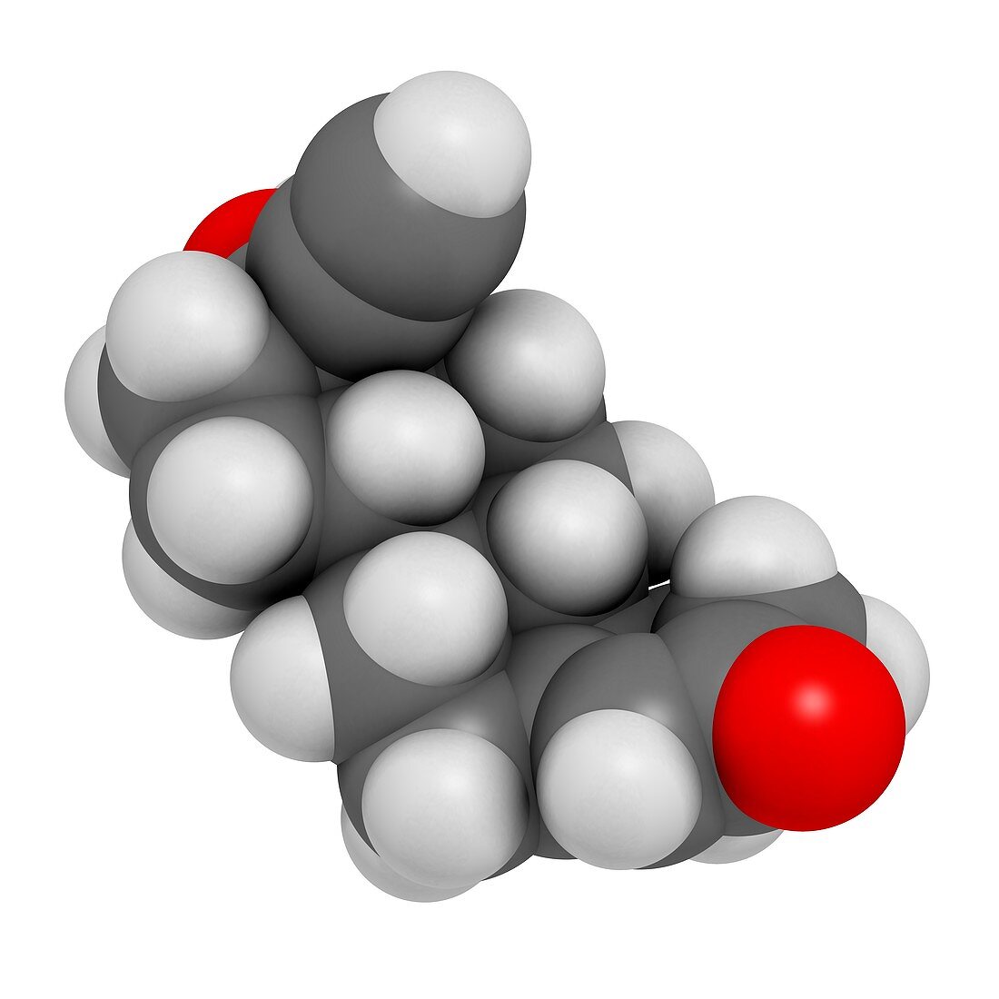 Norethisterone drug molecule