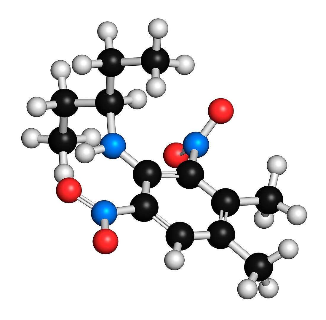 Pendimethalin herbicide molecule