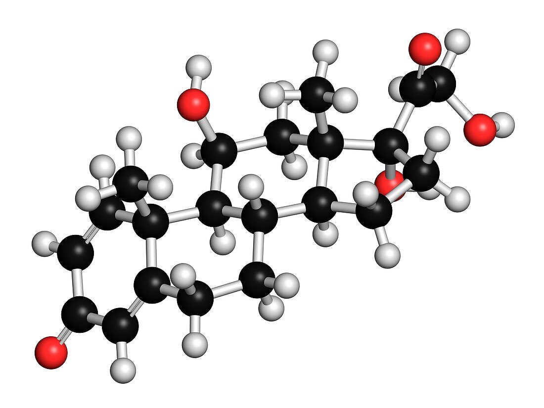 Prednisolone corticosteroid drug molecule