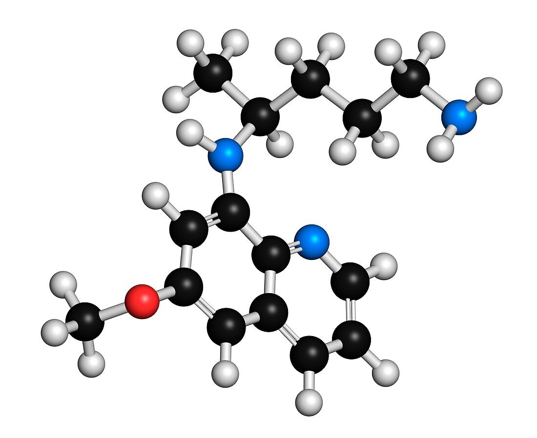 Primaquine malaria drug molecule