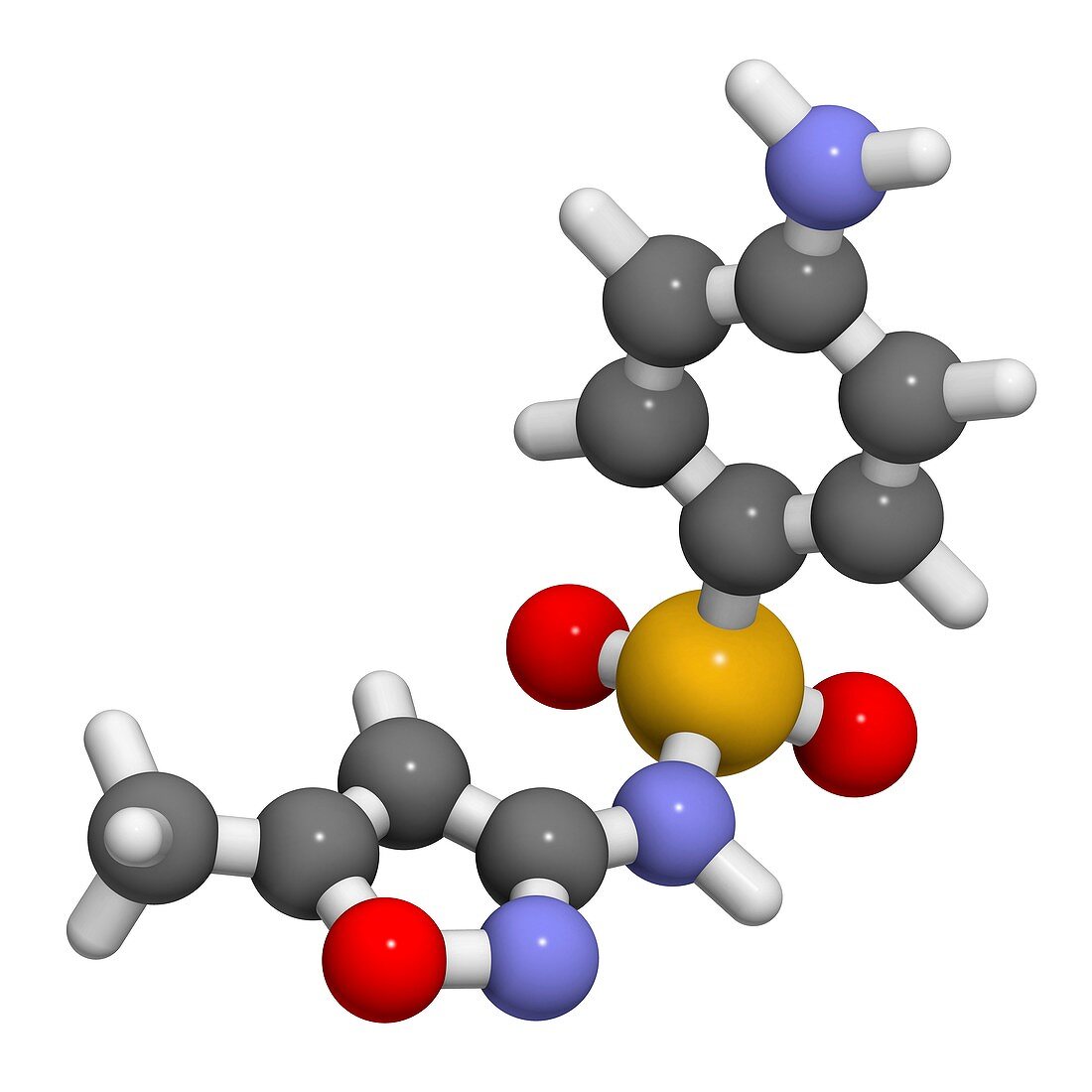 Sulfamethoxazole antibiotic drug molecule