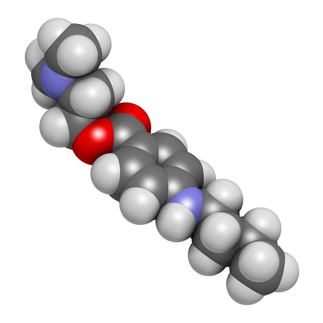 Tetracaine local anesthetic drug molecule