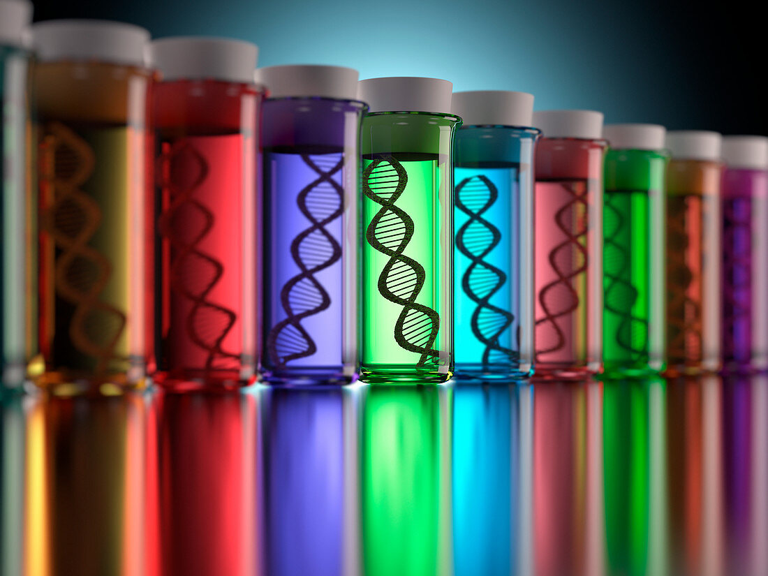 Coloured test tubes containing DNA