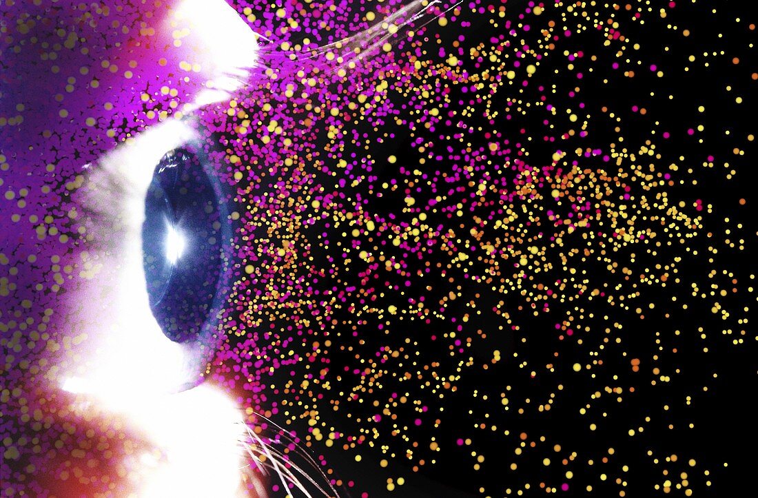 Eye and colourful particles