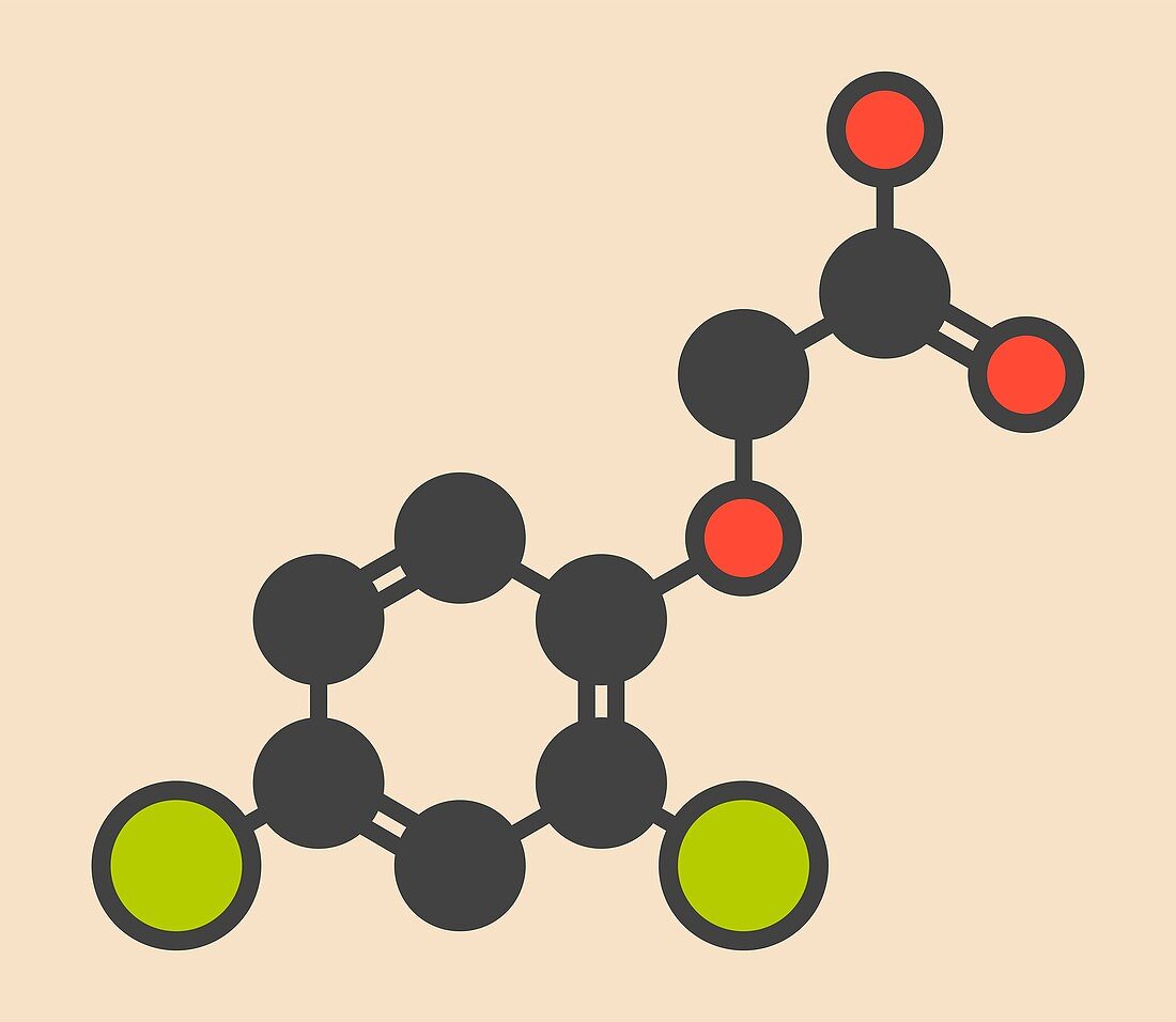 Herbicide molecule